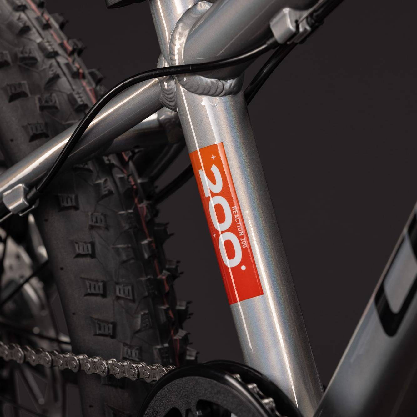 Cube Reaction 200 PRO Kids Bike