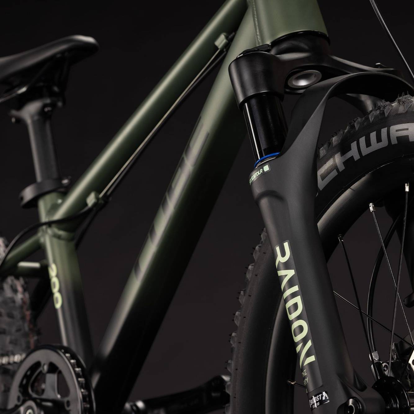 Cube Reaction 200 TM Kids Bike