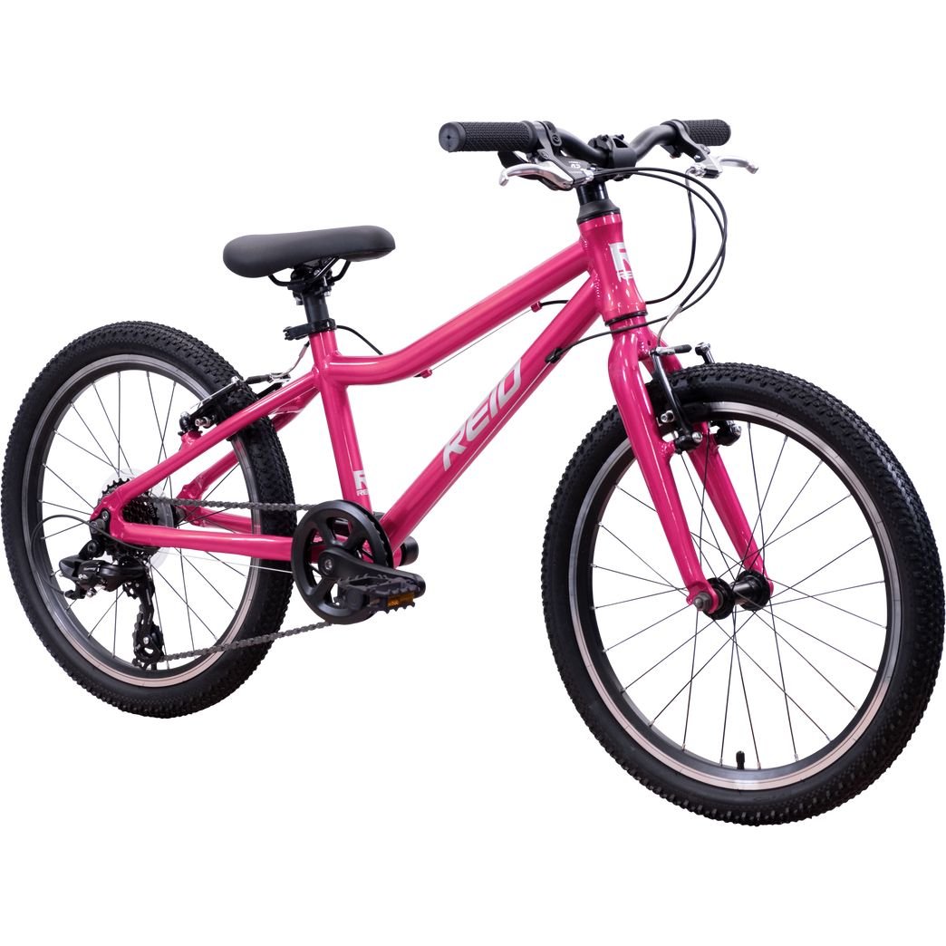 REID Viper 20 Kids Bike