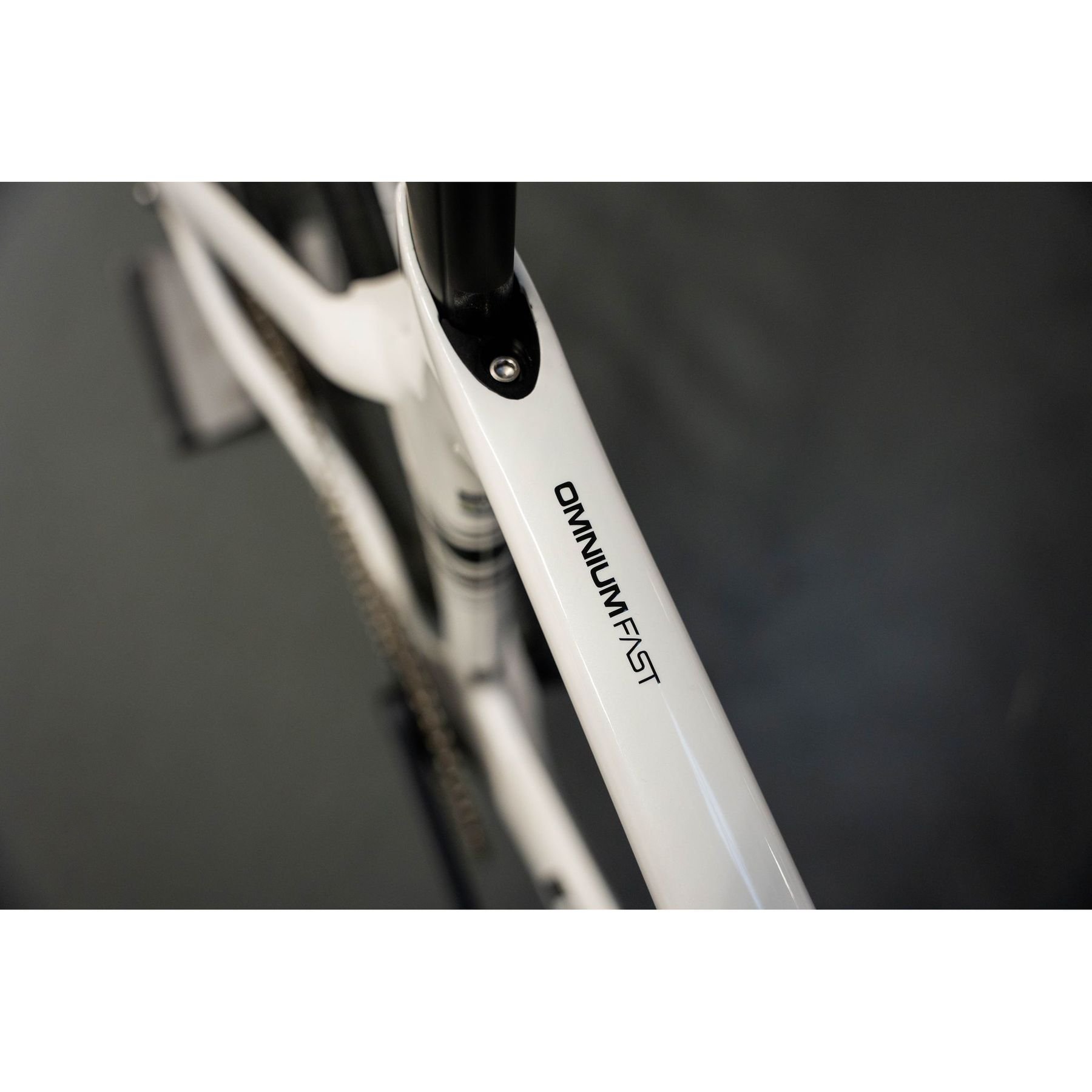 Ridley Omnium Fast Track Bike