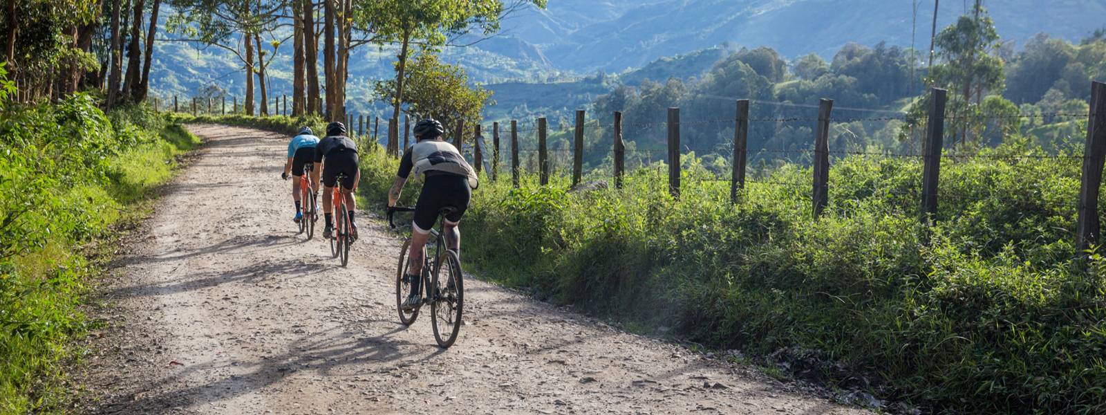 cannondale caadx tiagra 2020