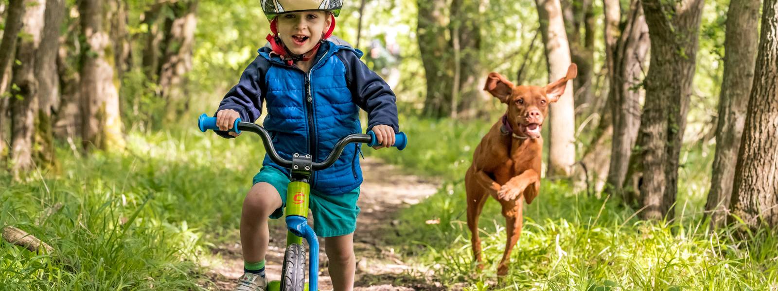 cannondale kids quick