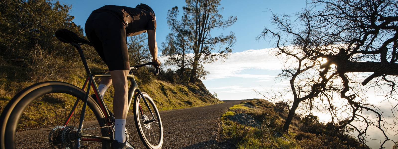 cannondale synapse 105 alloy