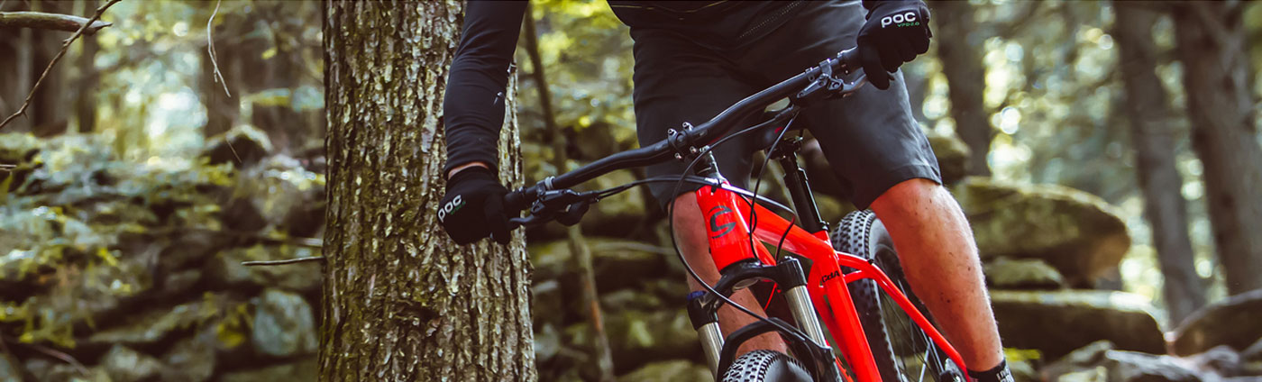bike cannondale 2019