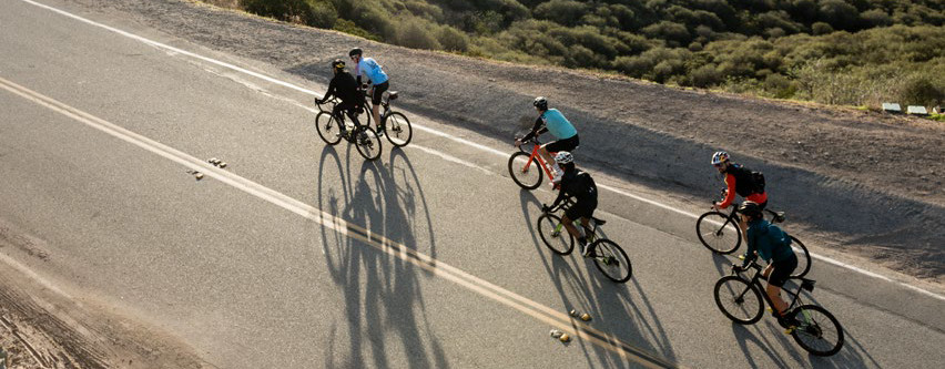bike cannondale 2019