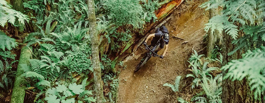 bike cannondale 2019