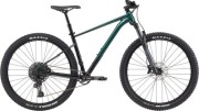 Cannondale Trail SE 2 29 SX Eagle Mountain Bike 2021
