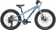 Cannondale Cujo 20+ Tourney Kids Bike