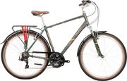 Raleigh Pioneer Trail City Bike